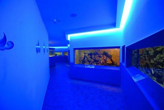 Akwarium Protaras Ocean